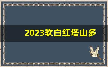 2023软白红塔山多少钱一包-白色红塔山软经典1956多少钱一包