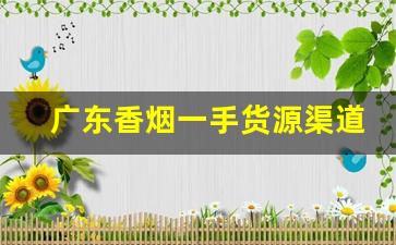 广东香烟一手货源渠道代理-香烟代销哪里找