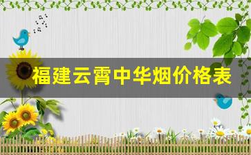 福建云霄中华烟价格表-南京云霄烟价格一览表