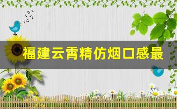 福建云霄精仿烟口感最好的中华是哪一款-福建漳州云霄烟价格