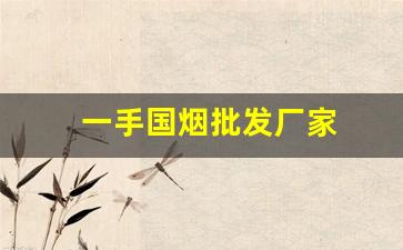 一手国烟批发厂家