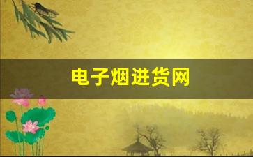 电子烟进货网