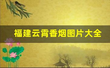 福建云霄香烟图片大全大图-云霄香烟报价表大全