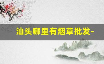 汕头哪里有烟草批发-汕头最大的烟草专卖店
