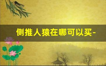 侧推人猿在哪可以买-鸟道猿柔道在哪里预约