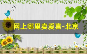 网上哪里卖爱喜-北京哪里有卖爱喜的