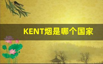 KENT烟是哪个国家的-TJCY是什么地方烟