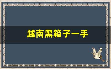 越南黑箱子一手