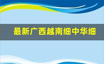 最新广西越南细中华细支香烟一手货源-广西东兴越南香烟价格表和图片