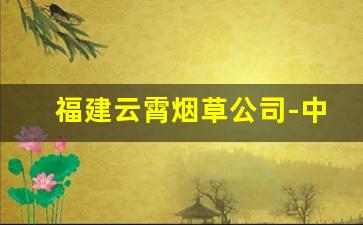 福建云霄烟草公司-中国第二烟草集团云霄