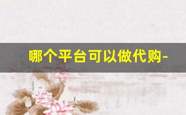 哪个平台可以做代购-哪些平台可以直接做代购