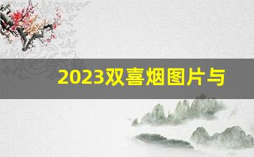 2023双喜烟图片与价格-2024年上海红双喜烟价格表图