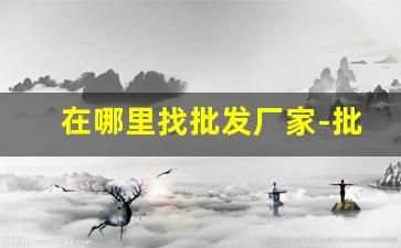 在哪里找批发厂家-批发厂家在哪里拿货