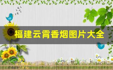 福建云霄香烟图片大全大图-福建云霄香烟有哪些品牌