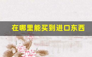 在哪里能买到进口东西-在哪里可以买到纯进口的东西