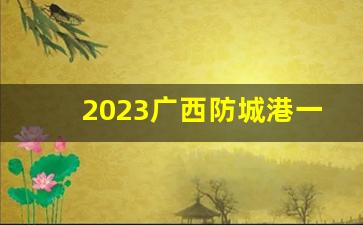 2023广西防城港一手越南烟-防城港越南烟真实价格