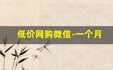 低价网购微信-一个月网购3000多