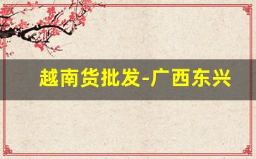 越南货批发-广西东兴越南特产批发