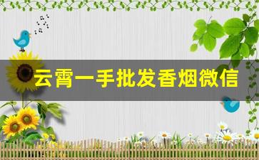 云霄一手批发香烟微信号-云霄便宜香烟批发哪里有