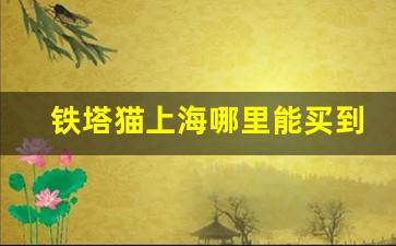 铁塔猫上海哪里能买到-铁塔猫多少钱哪里买