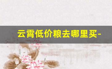 云霄低价粮去哪里买-云霄在哪里买最便宜