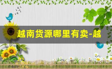 越南货源哪里有卖-越南进货渠道在哪里
