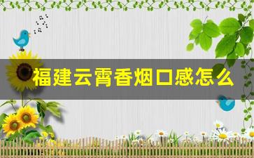 福建云霄香烟口感怎么样-福建云霄香烟现在有没有