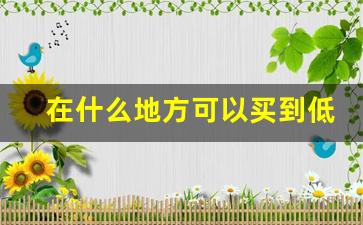 在什么地方可以买到低价香烟-香烟哪里卖的最便宜又正宗