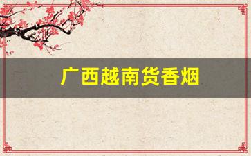广西越南货香烟