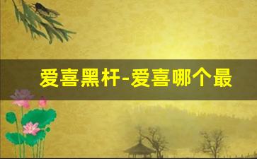 爱喜黑杆-爱喜哪个最适合新手