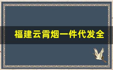 福建云霄烟一件代发全国-云霄烟官方定制