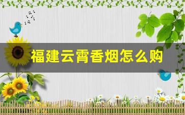 福建云霄香烟怎么购