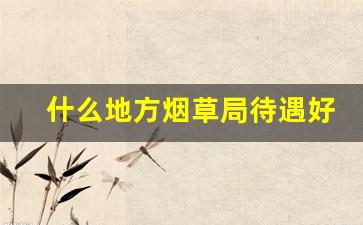 什么地方烟草局待遇好-全国哪个烟草局待遇最好