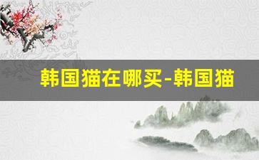 韩国猫在哪买-韩国猫怎么在网上买