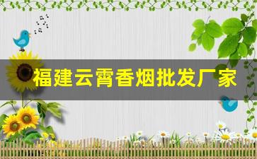 福建云霄香烟批发厂家-云霄烟批发供应商