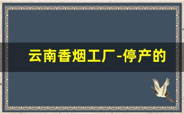 云南香烟工厂-停产的云南香烟