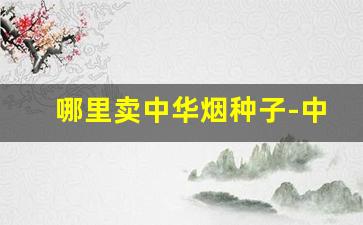 哪里卖中华烟种子-中华烟哪里有地方买