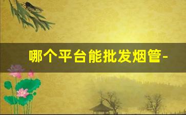哪个平台能批发烟管-烟厂正规烟管在哪里买