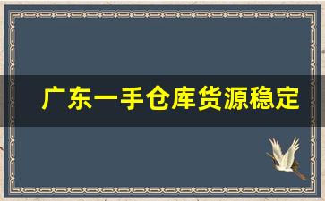 广东一手仓库货源稳定直销