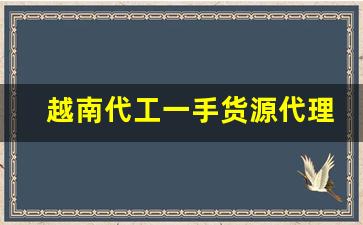 越南代工一手货源代理批发