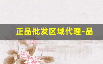 正品批发区域代理-品牌正品清仓批发