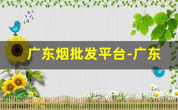广东烟批发平台-广东批发烟的哪个平台最便宜