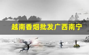 越南香烟批发广西南宁越南烟批发-南宁越南烟专卖店