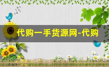 代购一手货源网-代购一手货源批发市场
