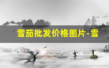 雪茄批发价格图片-雪茄价格查询网