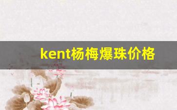 kent杨梅爆珠价格-瑞幸杨梅新品价格