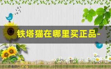 铁塔猫在哪里买正品-铁塔猫多少钱哪里买