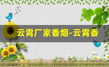 云霄厂家香烟-云霄香烟的图片
