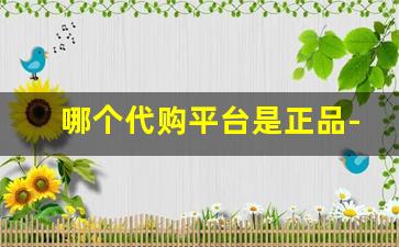 哪个代购平台是正品-国内代购比较靠谱的平台