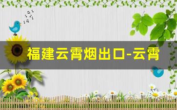 福建云霄烟出口-云霄烟厂福建啥地方